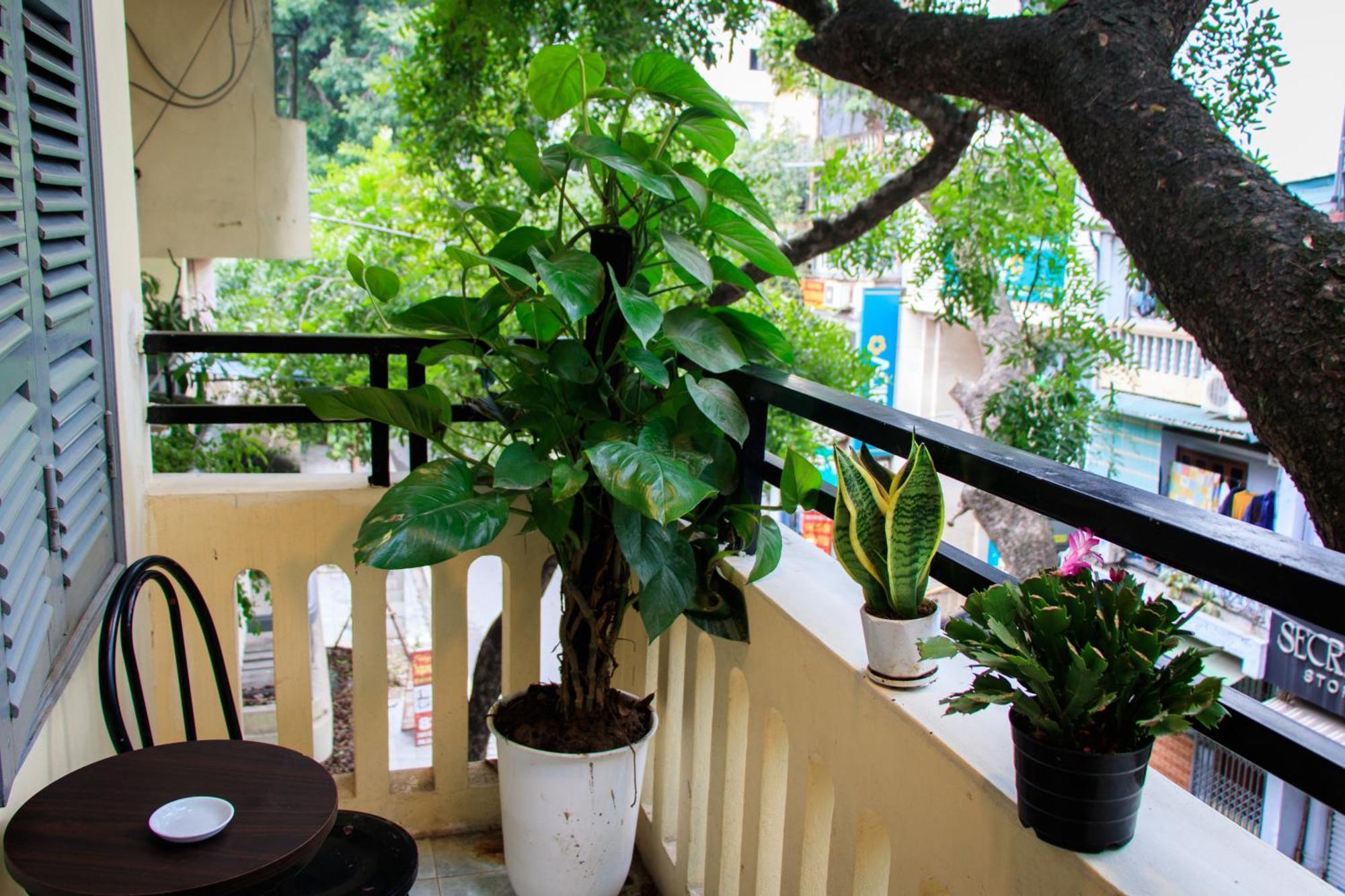 Hanoi Family Homestay Екстер'єр фото