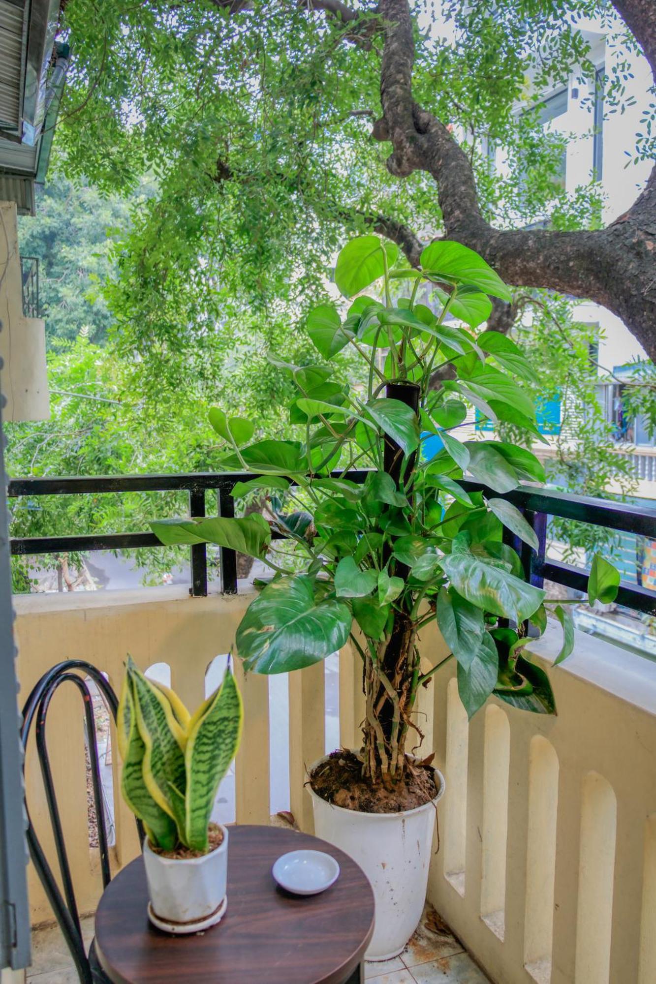 Hanoi Family Homestay Екстер'єр фото